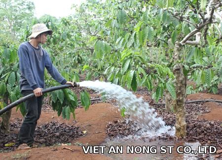 Sáng kiến của người Việt: Tưới nước tiết kiệm cho cà phê nhờ vỏ lon sữa