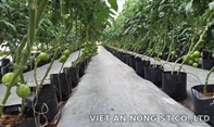 Nông nghiệp 4.0 là gì? Khả năng ứng dụng tại Việt Nam