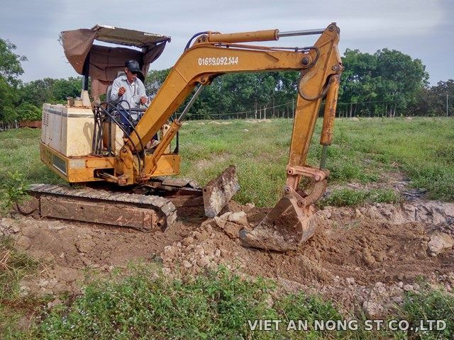 Dự án: Tưới cam bằng béc 8 tia đỏ tại Đồng Nai