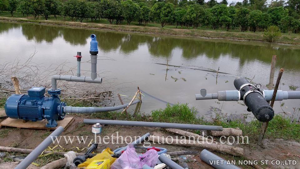 Dự án: Tưới cam bằng béc 8 tia đỏ tại Đồng Nai