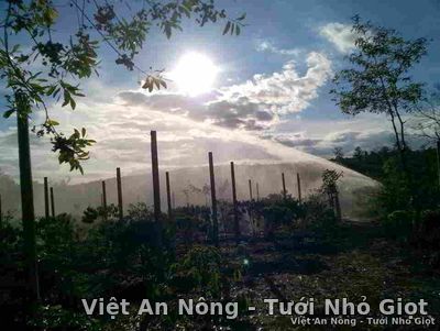 Quy trình lắp đặt súng tưới cây Nodolini - Ý Việt An Nông