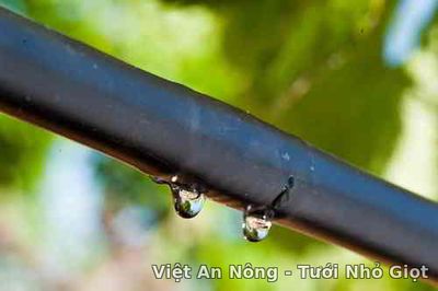 dây nhỏ giọt bù áp ấn độ 16mm tròn Việt An Nông