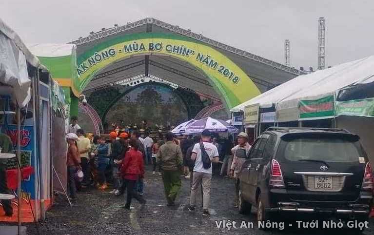 Việt An Nông Đắc Lắc tham dự hội chợ mùa bơ chín Đắc Nông - 2018