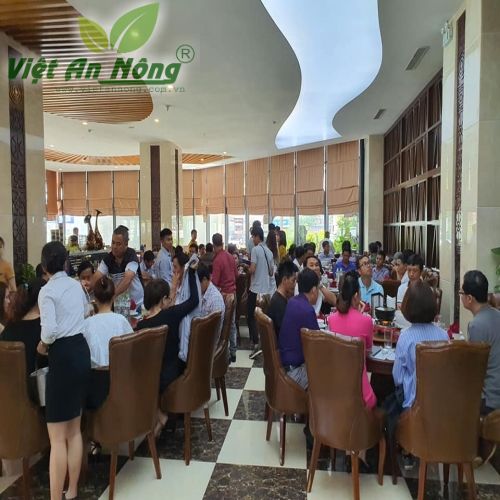 Hội nghị hệ thống tưới Việt An Nông tây nguyên 2020 13
